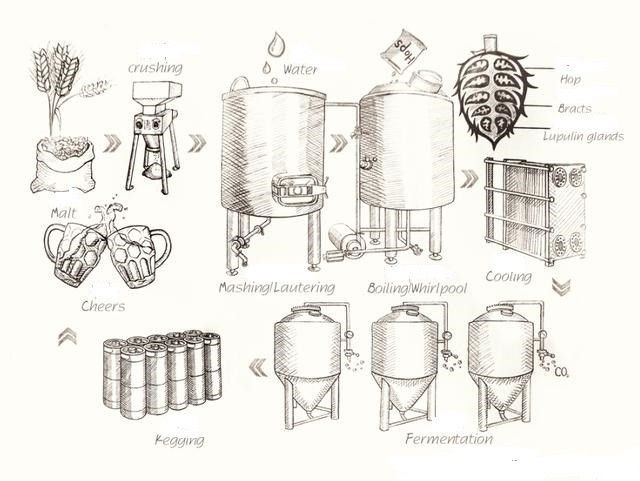 Beer brewing process