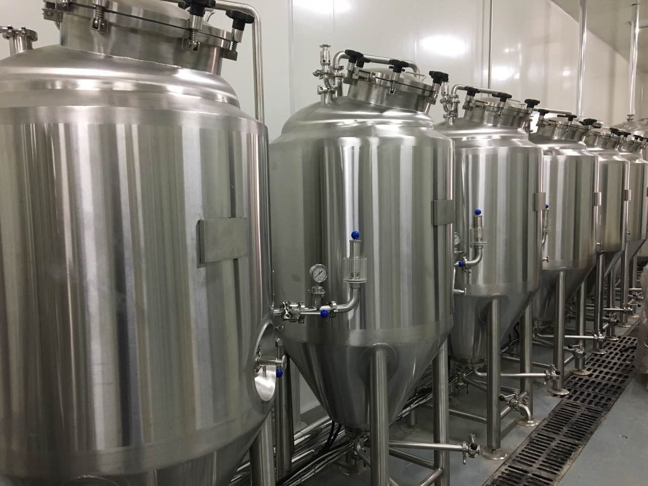 300l home Microbrewery system UK