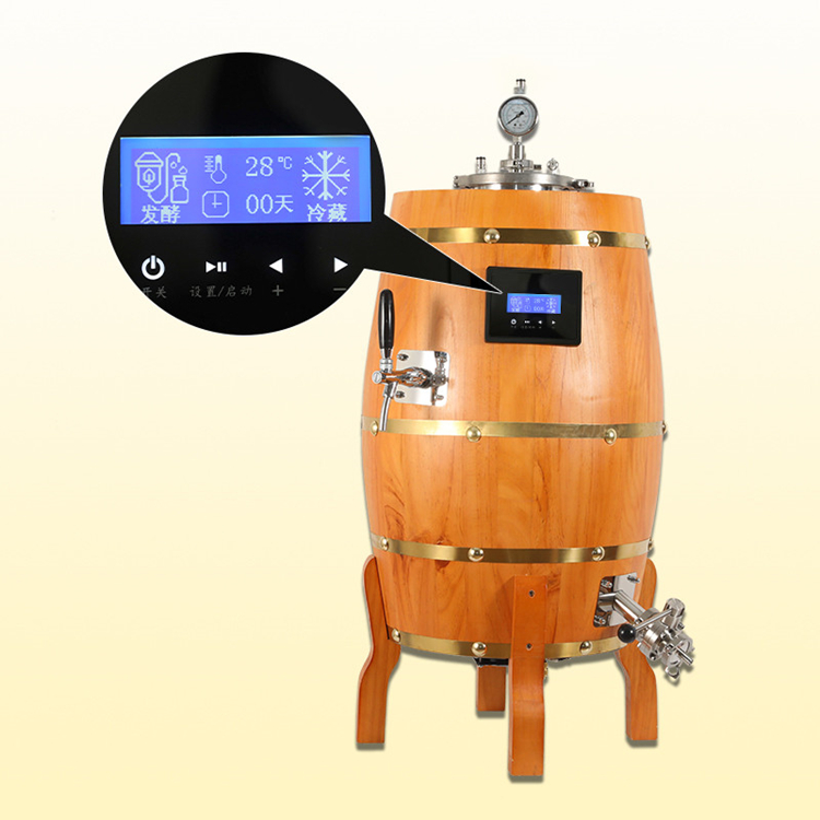 Germany 30L beer Professional All In One Microbrewery Machine  ZXF 
