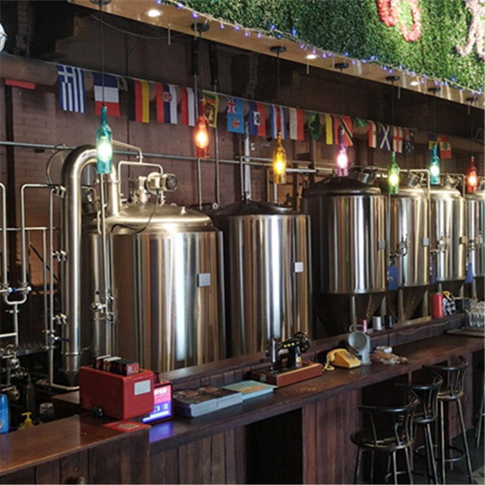 All in one craft brewing system
